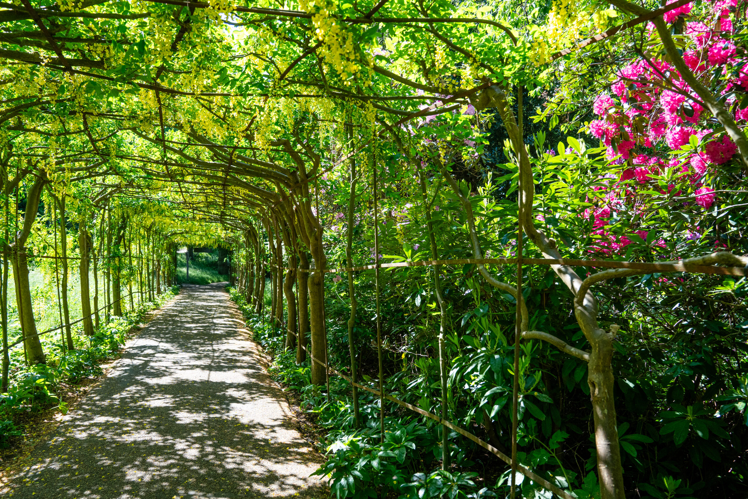 Beautiful hidden photo spots at Pembroke Lodge in Richmond