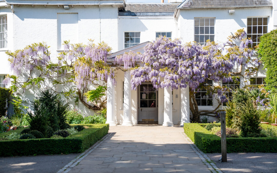 A wedding at Pembroke Lodge- A Wedding Photographers perspective