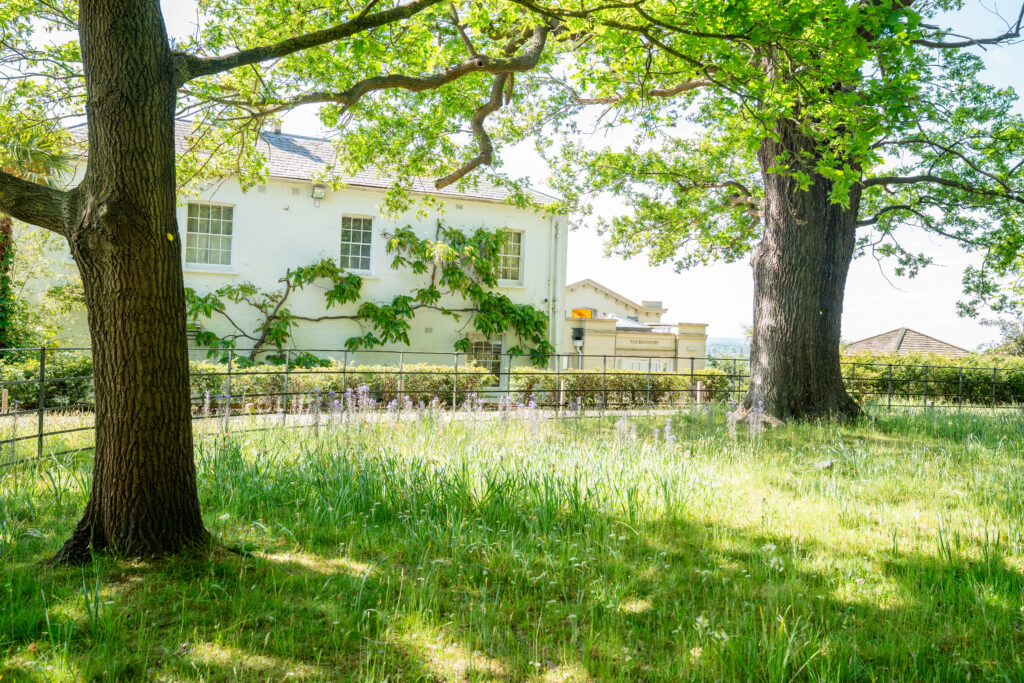 Side view of Pembroke Lodge surrounded by gardens and woodlands captured by Richmond Wedding Photographer