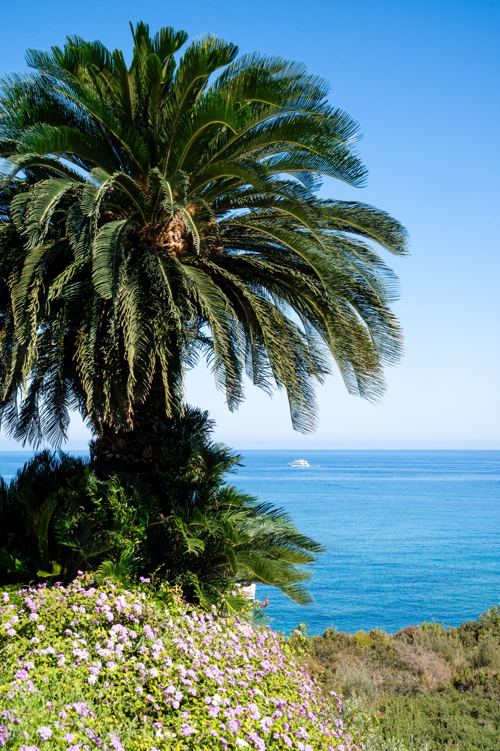 Mediterranean Sea views from the Anassa Hotel terrace captured by a Cyprus wedding photographer
