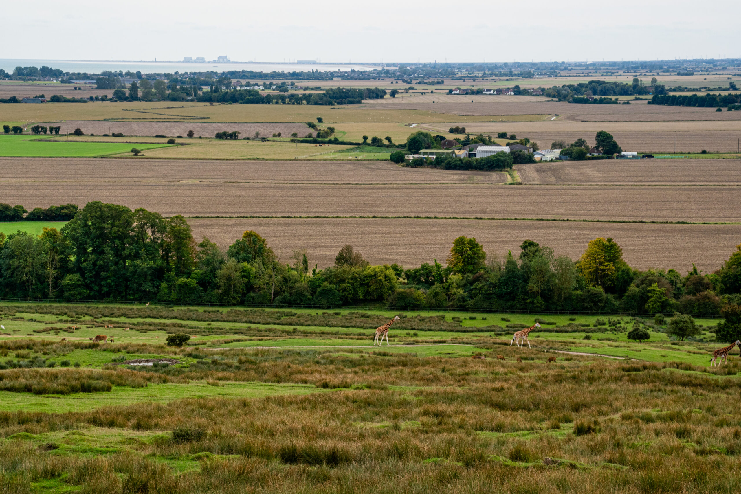 Panoramic countryside views from Port Lympne wedding venue in Kent, documentary wedding photographer 