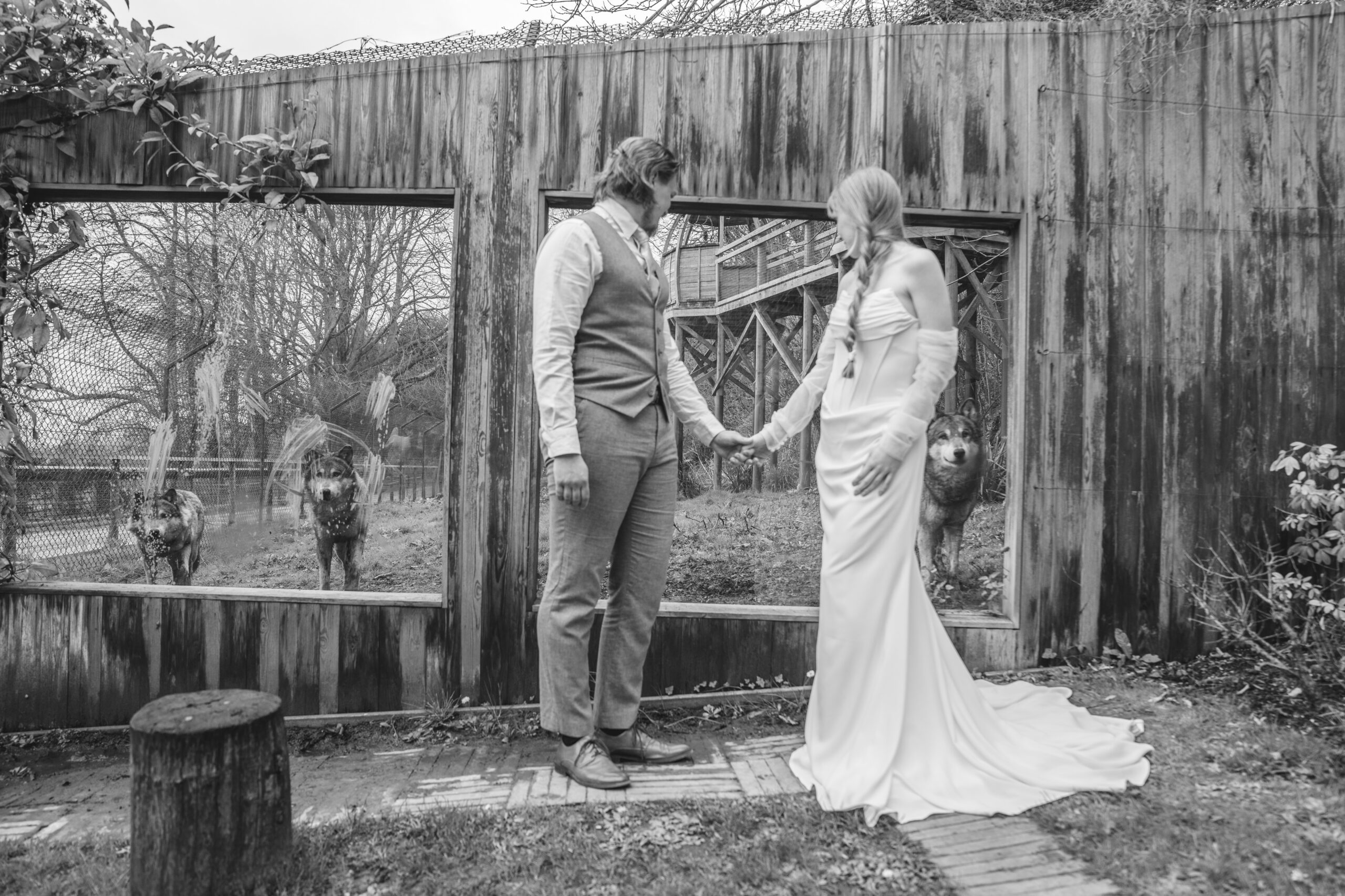 Bride and groom enjoying their experience seeing animals at Port Lympne in kent one of the best luxury wedding venue in kent.